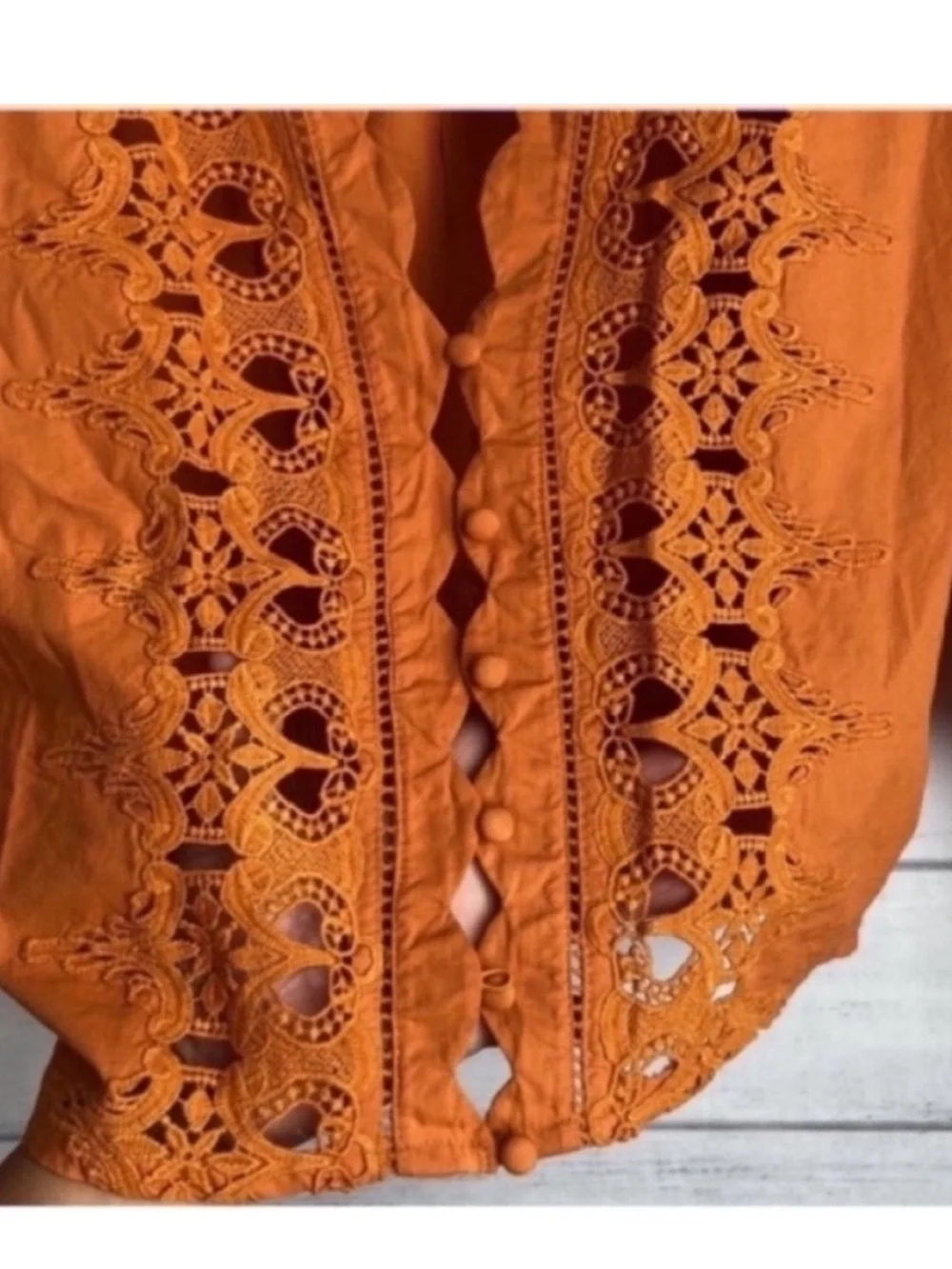NWT Free People Louella Embroidered crop Top